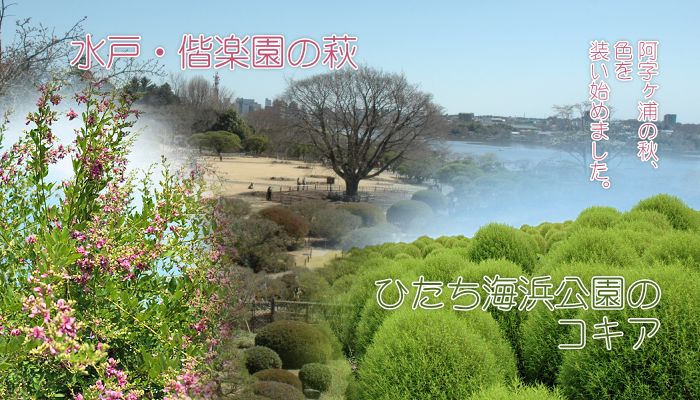 �������Y�̎l�G